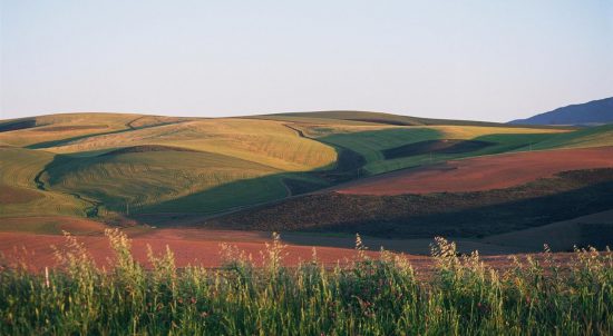 The soft, colourful fields of Overberg