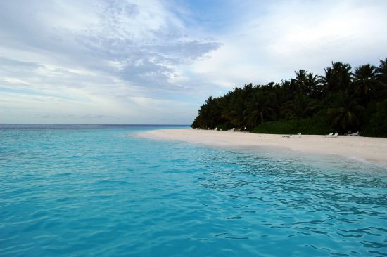 fihalhohi beach maldives