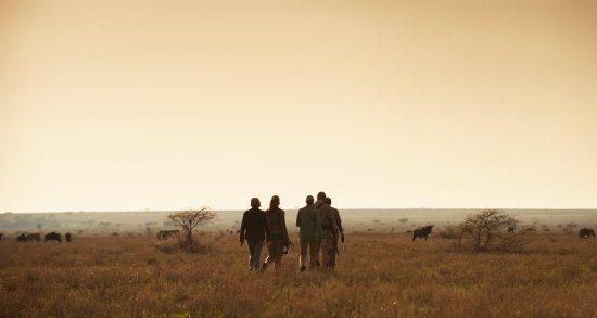 camp walking safari serengeti national park tanzania