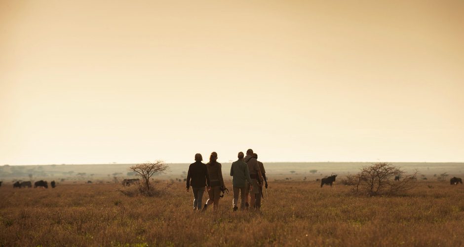 Explore this signature Southern Africa Safari today