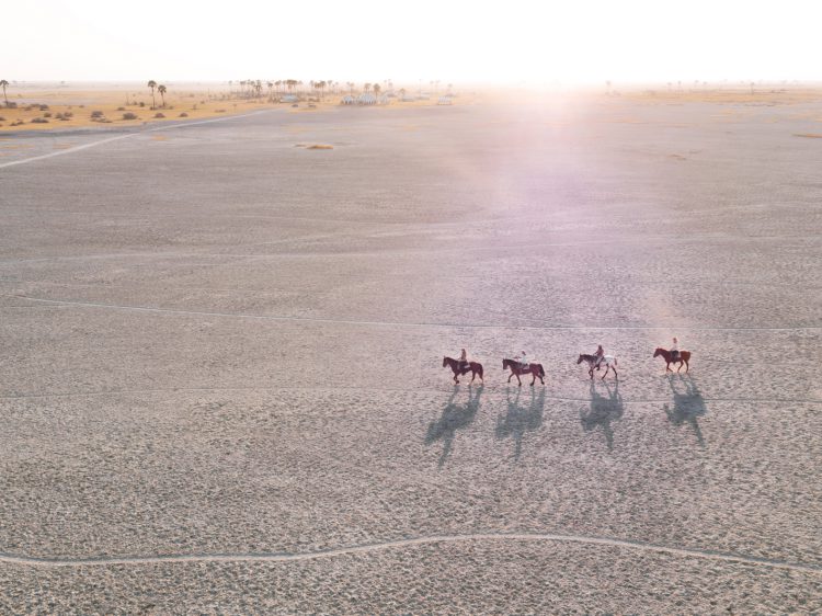 Breathtaking Botswana's Makgadikgadi Pans