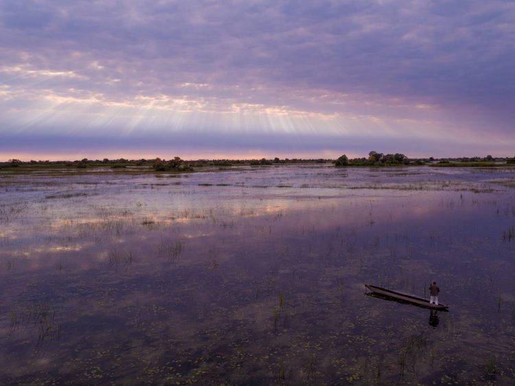 stunning okavango delta