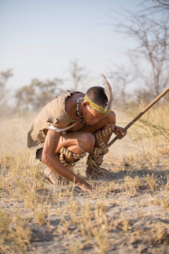 Bushmen are exceptionally skilled at tracking