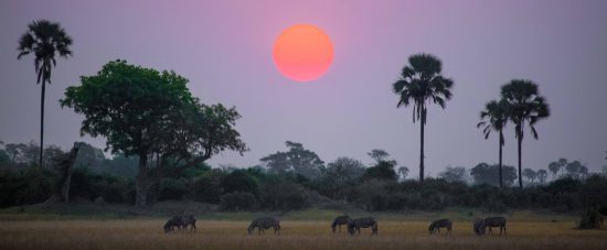 The evening sun in Botswana 