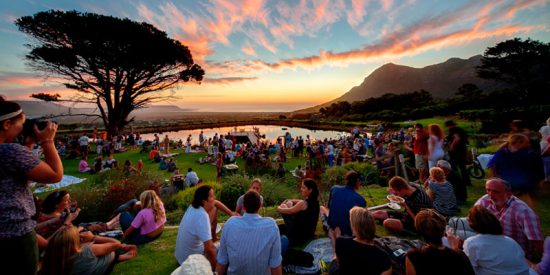 Cape Point Vineyards provides ample delights for food market treats