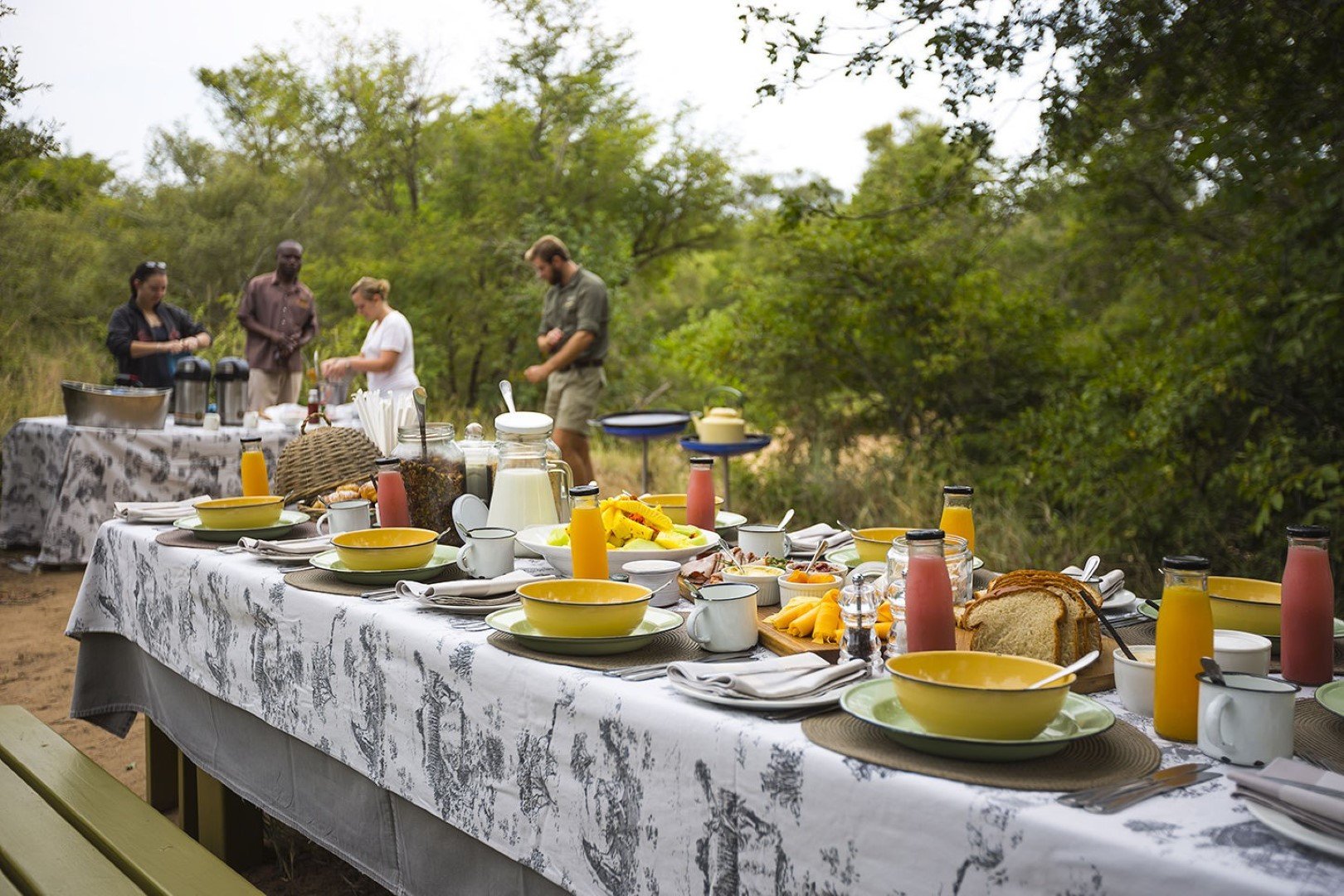 Petit déjeuner dans la brousse au Thornybush Game Lodge