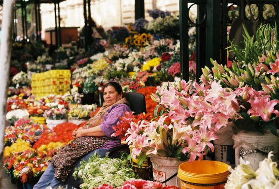 Adderley Street Flower Seller