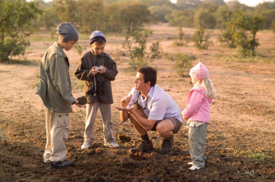 Safári no Kruger Park: perguntas mais frequentes