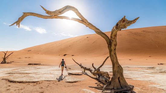 Ein Highlight von Manuela: berühmte Deadvlei in Namibia