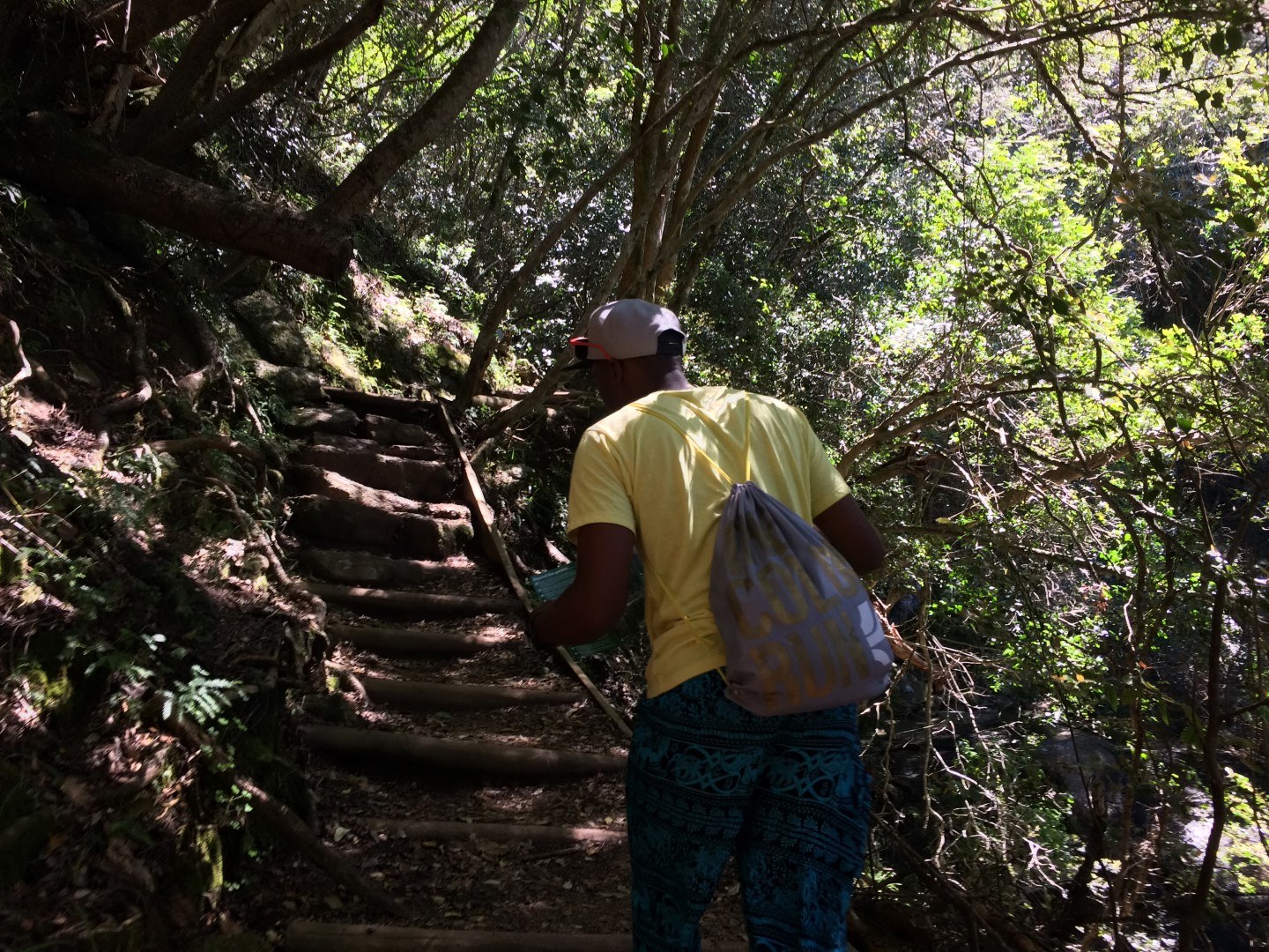 Skeleton Gorge via Kirstenbosch Garden