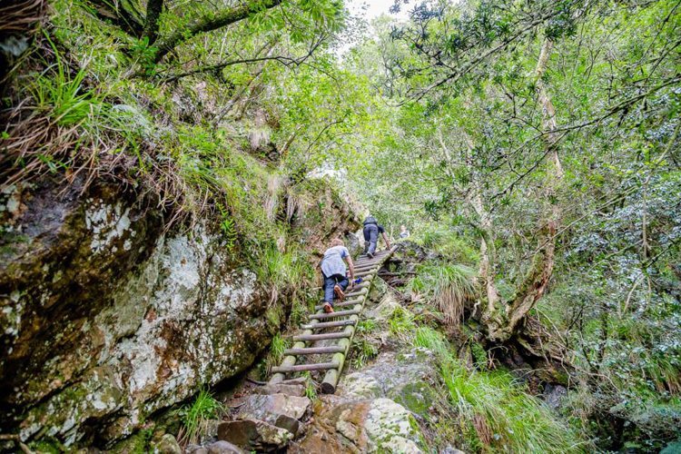 Randonnées à Cape TOwn : Skeleton Gorge