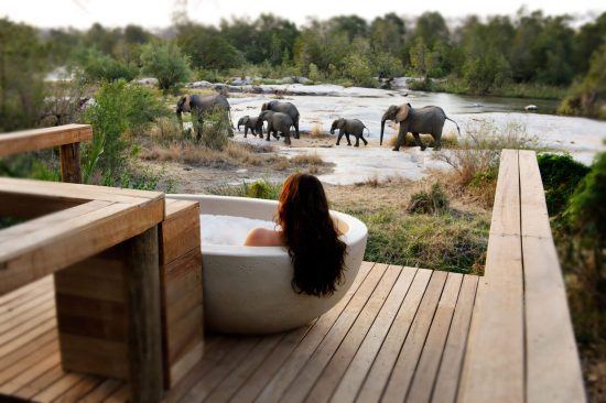 A bath with a view at Londolozi