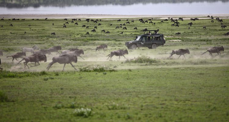 planícies do serengeti