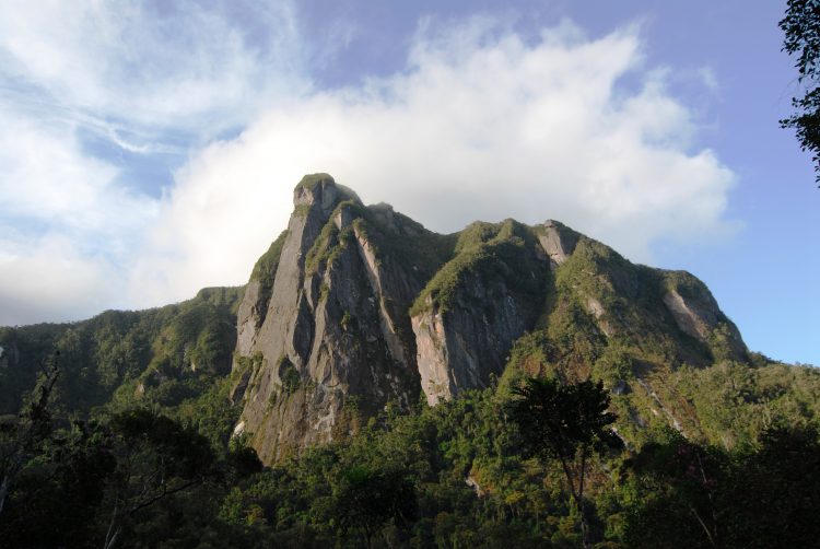 Marojejy National Park in Madagascar 