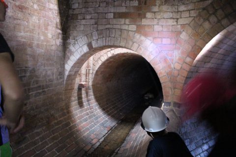 Watching out for permanent residents of the tunnels 