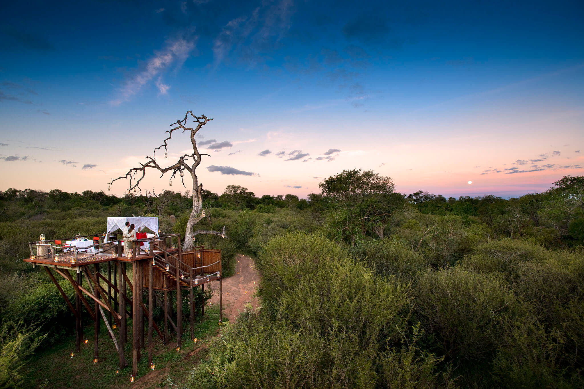 L'un des lodges safari insolites en Afrique que nous préférons : Lion Sands