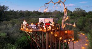 Vue de la Chalkley Treehouse à la nuit tombée