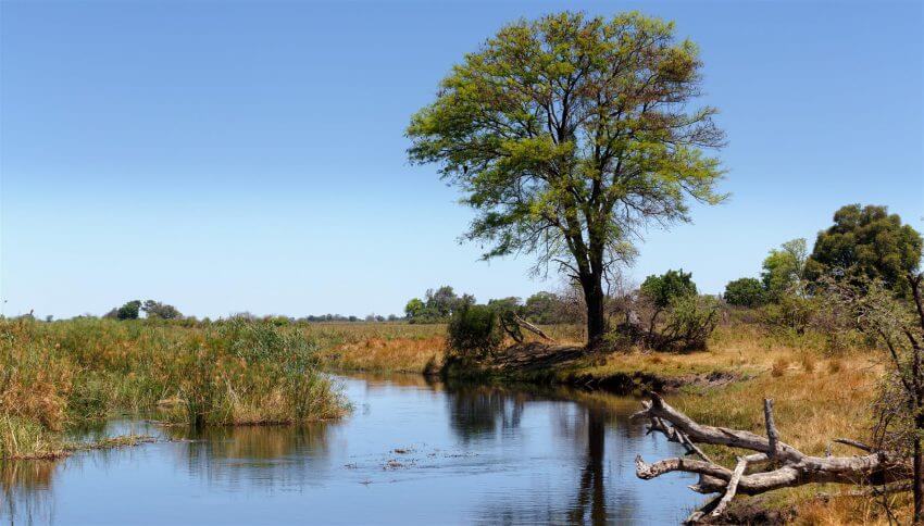 Rivière dans la bande de Caprivi, Namibie