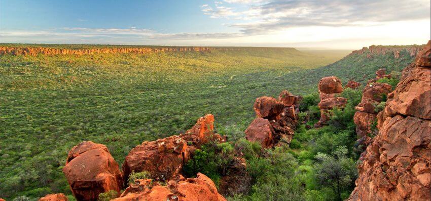 Paysage verdoyant du Waterberg National Park, Namibie