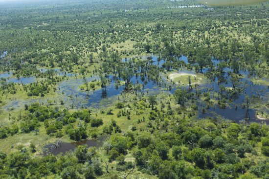 Okavango Delta aerial view