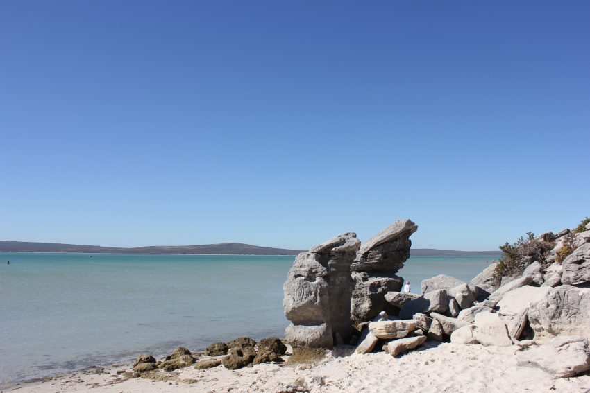 Plage de sable blanc et lagon translucide au lagon de Langebaan.