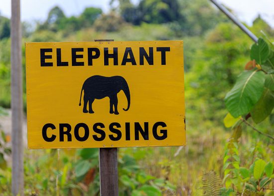 Elephant crossing sign