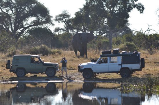 Man outside of car elephant behind him