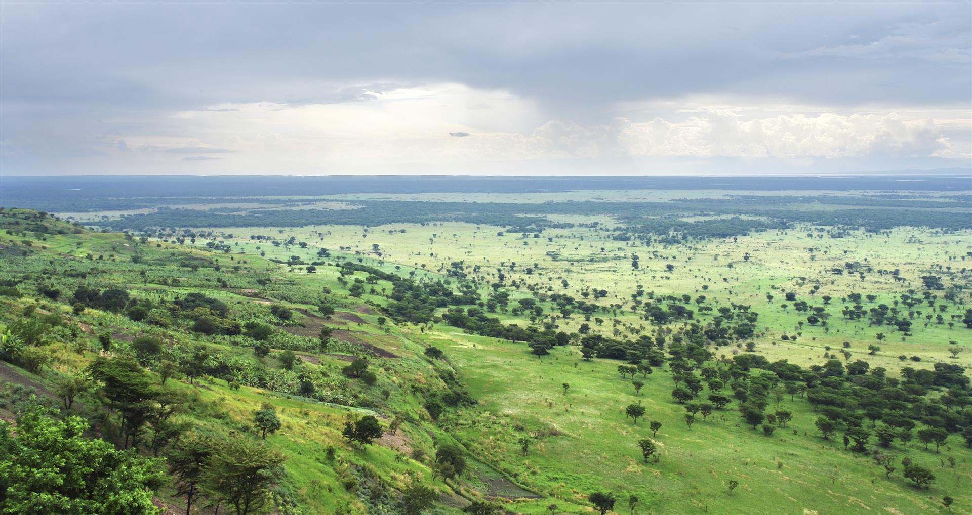 Panoramic view of Uganda's green hills