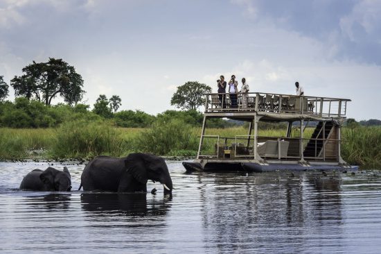 Boat cruise elephant