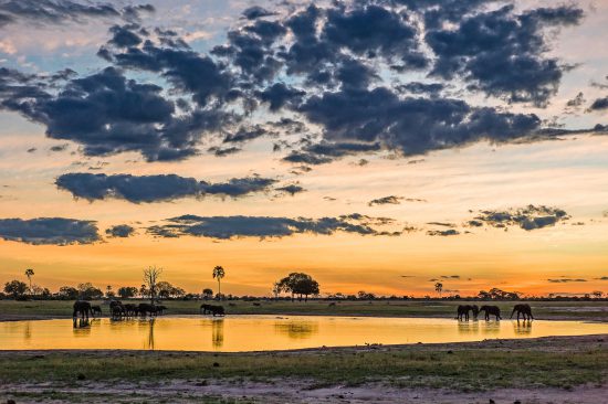 elephant sunset river dam