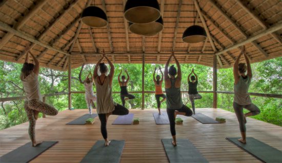 yoga lesson in the safari lodge