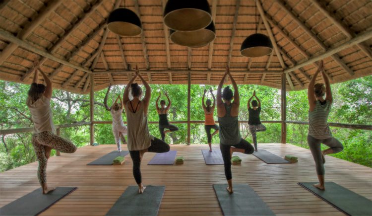 Mujeres practicando yoga en la Reserva Privada de Animales Londolozi