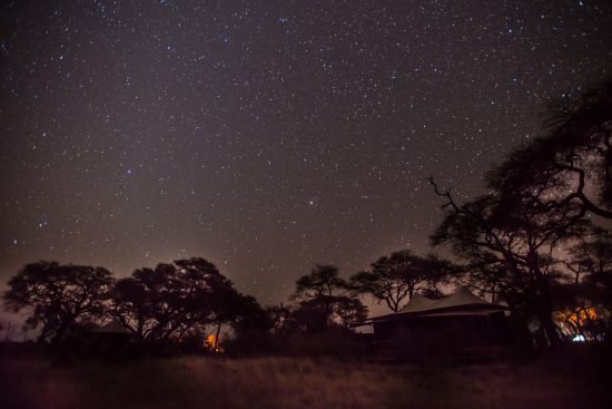 starry night sky