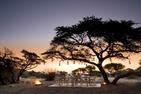 Dinner under a acacia tree