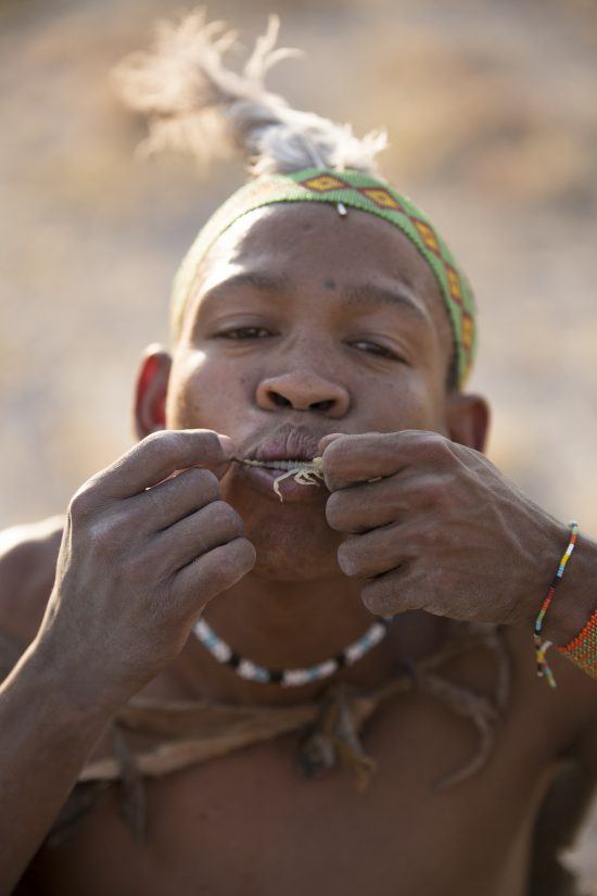 A bushman eating a scorpion 