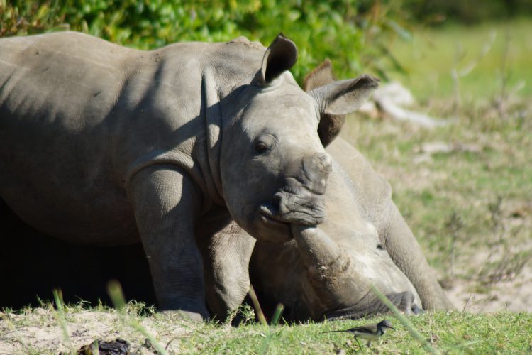 Foto von Mel Marie aus Südafrika.