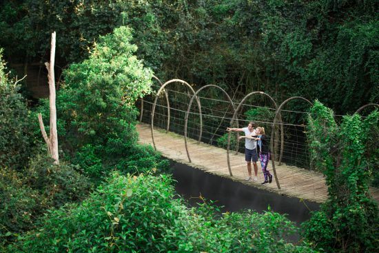 Birds of Eden in the Garden Route