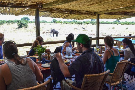 lunch with an elephant