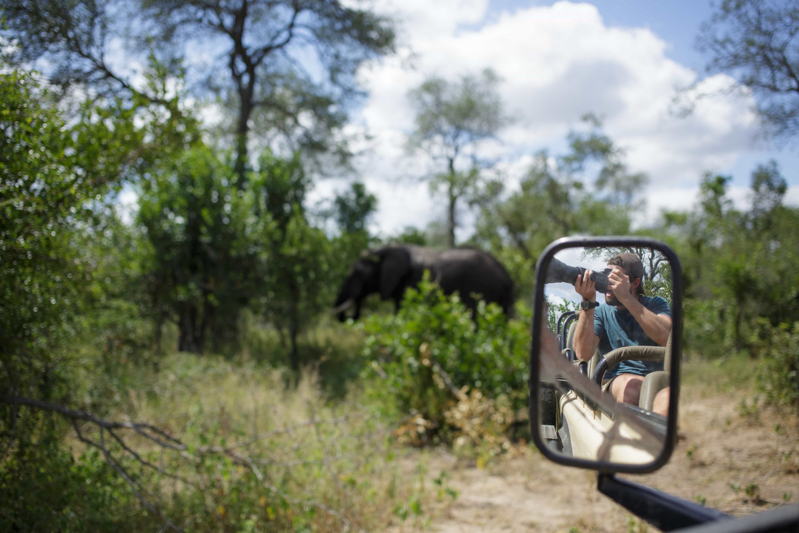 Elefante é fotografado durante safári na África