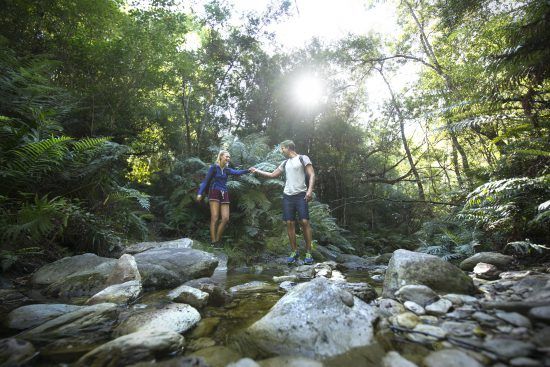 Hiking in the Garden Route