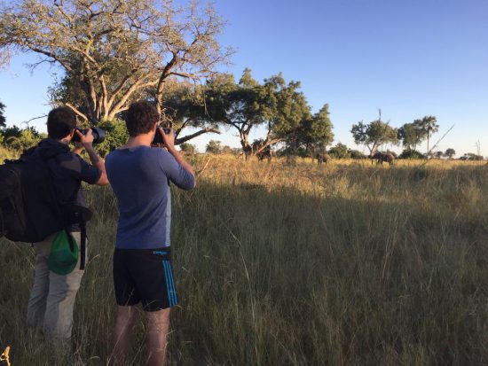 photographers on foot with african animals