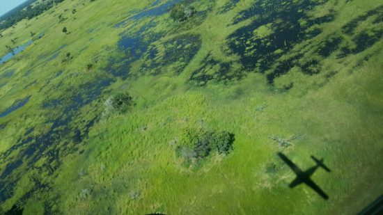 aerial view of wetlands of okavango delta