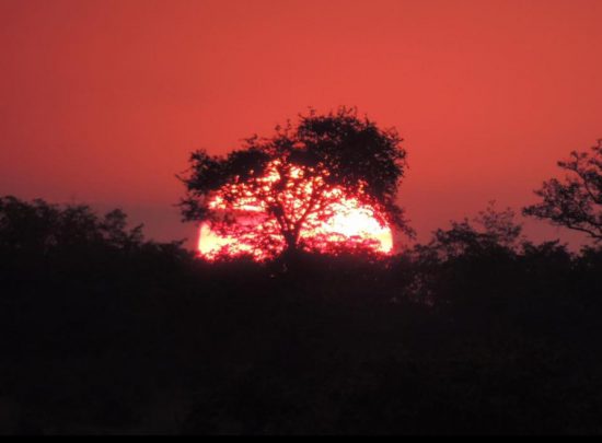 Classic African sunset