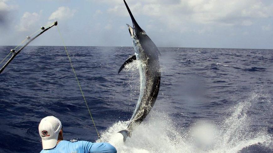 La pêche au gros dans le top activités nautiques en Afrique