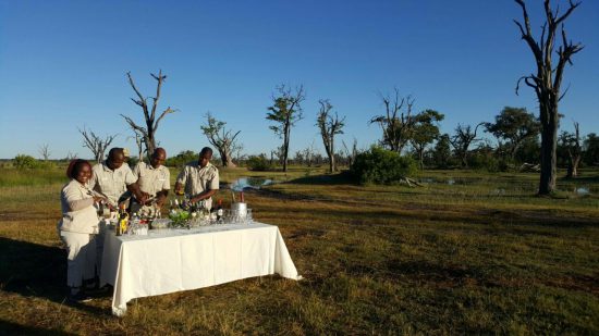 drinks at sunset in africa safari