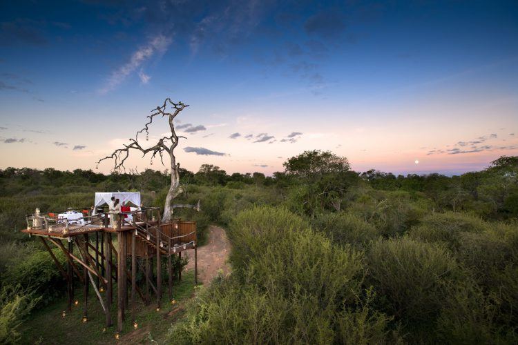 La casa del árbol Chalkley en la Reserva de Animales Lion Sands junto al Kruger