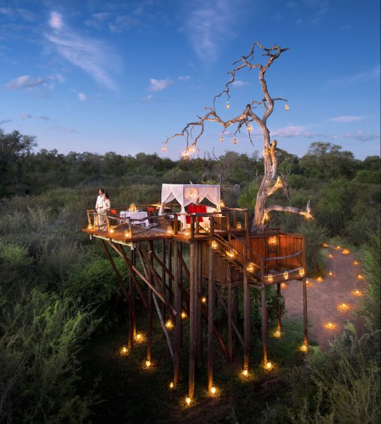 Treehouse night under the stars at Lion Sands