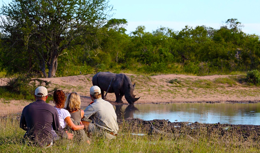 Rinoceronte é observado de perto por viajantes e guia durante safári a pé na Reserva Malamala