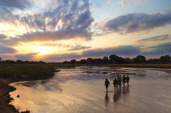 Walking across the Mupamadzi on bush safari walks