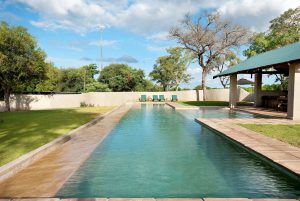 Vue de la piscine de Nottens Bush Lodge, réserve de Sabi Sand. Un excellent choix pour combiner safari et plage